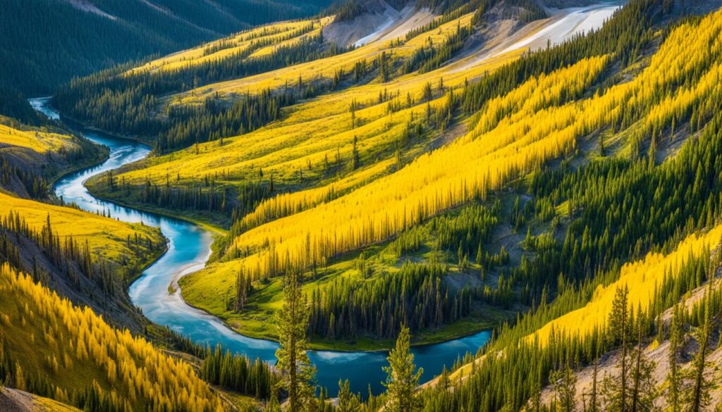 Yellowstone hiking trails